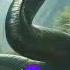 Amazon Jungle Me Paye Jane Wale Do Sabase Khatarnak Sanp Scienceknowledge Snake Sciencefact