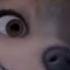 Alpha And Omega Don T Touch The Zoom Song