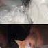 AI Edit Rescure A Cute Cat Stuck In A Car Shorts Pets Cats Poorcat Aianimation