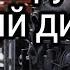Что стучит в надежном как АК дизеле 1 9D DW8 WJZ от Peugeot и Citroёn
