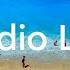 Beach Party Kevin MacLeod Copyright Free Music