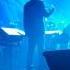 Pascal Obispo Chanter Live Au Palais Des Sports 27 Mai 2016