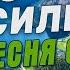 Очень сильная песня о любви Ему бы петь на ТВ Красивый голос