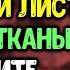 Оберните лавровый лист зеленой тканью и положите в карман