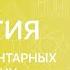 Биология 7 класс Отряды плацентарных млекопитающих
