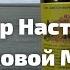Обзор Настойка Восковой Моли I Herbals Ua Com