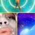 Winx Club Stella S Transformations Basic Enchantix Believix