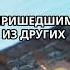 Пчёлы убивающие свою королеву океан