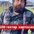 Чингиз 500 гектар картошка Chingiz