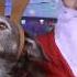 Just Another Christmas Song Santa S Little Helpers Ft S Claus