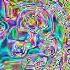 In G Major 4 Powers