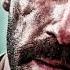 Movie UNDISPUTED 5 Trailer 2020 Starring Scott Adkins Yuri Boyka Trailer