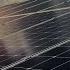 Foresight Solar Fund Sunny Days Dividend Outlook Growth Plan