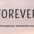 Justin Bieber Forever Lyrics Feat Post Malone Clever