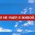 Я не умер я живой
