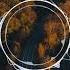 Rival Light In The Dark Ft Sina Py Ryan Oakes