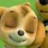 PAW Patrol Chase X Skye Tribute For Skye The Cutest