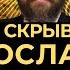 Теневой бизнес и офшорные секреты борца за русский мир СИСТЕМА