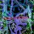 All Them Witches See You Next Fall 432Hz HD