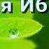 4 Религия Ибрагима АУДИОКНИГА абу Мухаммад аль Макдиси