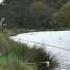 How To Fly Fish Tips Product Reviews With Tony Spacey And The Game Angling Consultancy