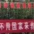 翟山鹰 之前的承诺 没一个兑现了 全是忽悠