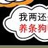 小岛浪吹 中国教育改革 双减 能成功吗 你愿意生三胎吗 聊聊中国近几年的几个失误