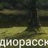 Один офицер один солдат