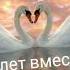 С 7 летием свадьбы