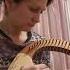 Лира 19 струн фирмы Cega Заказано на Озон глобал лира музыка Music Lyre Cither Cittern