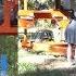 Our Sawmilling Journey