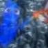 Finding Nemo X The Shallows Mashup Trailer