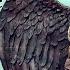 How I Made My Maleficent Wings Cosplay Tutorial