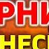 Молитвы вечерние от Пасхи до Вознесения Молитвы на сон грядущим от Фоминой недели до Вознесения
