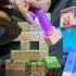 Minecraft ASMR Mukbang Eating Purple Sword Turtle Tortoise