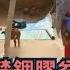 眼淚的滋味 馬戲團大象遭虐後的反撲 哭血少女的不治之症 20170409 雲端秘檔完整版 葉雲炫主持 三立新聞台
