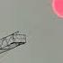 Maggie Lindemann Ceilings Lizzy Mcalpine Cover