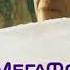 Megafon Logo History Plantinum Updated