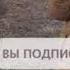ПЕСНЯ ПРО ШАУРМУ