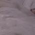 Christine And The Queens Nada Lyric Video