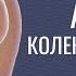 Артроз коленного сустава Консервативные методы лечения