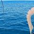 Fishing In PARADISE