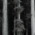 Symphony No 2 Op 132 Mysterious Mountain Andante Espressivo