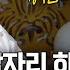 경악 엄마랑 잠자리를 한 친아들 리얼 점사