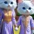 Wow So Cute Baby Cat Kitten New Song Funny Shorts Art Ai