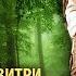 Махабхарата Стихотворный перевод С Липкина Часть 18