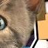 Майнкрафт Выживание ЕвгенБро и милый Котик в Майнкрафте Сериал Minecraft