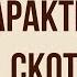 Характеристика Скотинина в комедии Недоросль Д Фонвизина