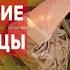 Израильские добровольцы в Украине Гость Виктор Фридман Вольф СПЕЦЭФИР 5 июля Вечер