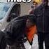 What Would You Do Crazy Travisscott Paris Drip Hiding Rapper Rich Explore Shorts Fyp